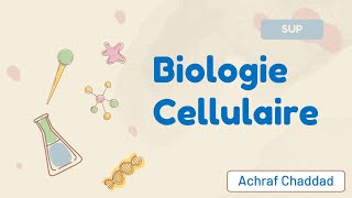 Biologie Cellulaire  Plan du Cours [upl. by Brandenburg463]