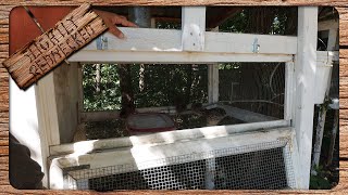 Quail Keeping For Beginners All You Need to Know to Get Started With Coturnix Quail [upl. by Ynamreg]