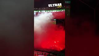 Kaiserslautern Fans Pyro im DFBPokalfinale  FCKaiserslautern  Bayer Leverkusen 25524 [upl. by Kiker922]