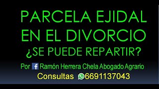 la parcela en el divorcio  Asesoría Whatsapp 6691137043 [upl. by Atena506]