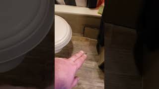 Quick Tip  Full time RV Life  Dometic Toilet Leaking  learn to fix it [upl. by Alexis]