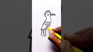 how to draw hoopoe  hudhud ki Drawing [upl. by Jansen830]