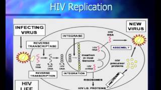 Basic Course in HIV  Pathophysiology and Natural History of HIV Infection [upl. by Yhtimit673]