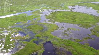 Honghe Nature Reserve China [upl. by Gnaw]