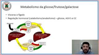 Digestão absorção e metabolismo de carboidratos [upl. by Audette487]