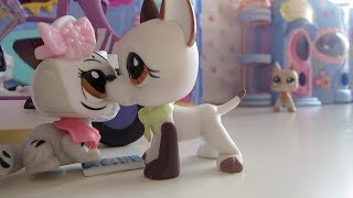 ღLPS Valentines Day Specialღ [upl. by Goldstein293]