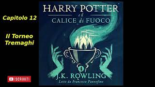 Harry Potter e il Calice di fuoco Audiolibro Italiano letto da Francesco Pannofino Capitolo 12 [upl. by Eduj]