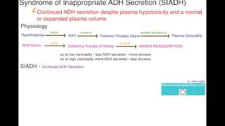 Understanding SIADH  Syndrome of Inappropriate ADH Secretion [upl. by Natsirt]