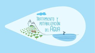 La potabilización  Didáctica del Agua [upl. by Yenahteb286]