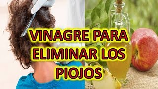 Elimina Los Piojos Y Liendres Con Vinagre – Adiós A Los Piojos Y Liendres Con Vinagre Natural [upl. by Ayala]