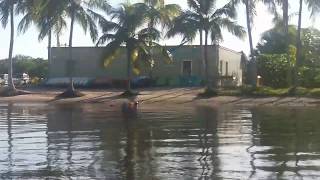 Kayaking with Manatees in Matlacha Florida  Gulf Coast Kayak [upl. by Vanhook]