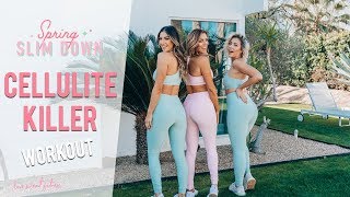 How to Get Rid of Cellulite  Fat Burning Workout [upl. by Thunell]