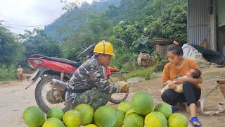 The efforts of a single mother after her child was just one month old harvest grapefruit for sale [upl. by Irrab822]