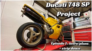 Ducati 748 SP  Getting her road worthy again [upl. by Aguayo139]