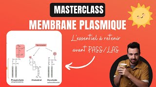 MASTERCLASS  🧫Ce quil faut retenir sur la membrane plasmique avant PASSLAS [upl. by Enilecram]