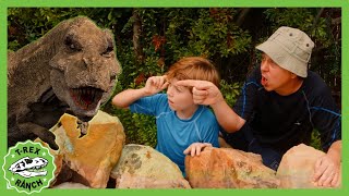 Dinosaur TRex at the Pool 🦕 TRex Ranch Dinosaur Videos [upl. by Ragas]