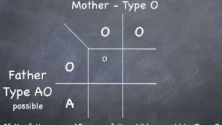 Punnett Square to determine possible blood types [upl. by Ailimac]