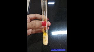 Test for bromide ion Inorganic chemistry Salt Analysis experiment BSc chemistry SGKmistry [upl. by Aelegna]