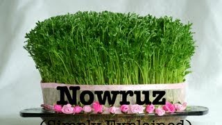 Nowruz Simply Explained نوروز [upl. by Eyllek]