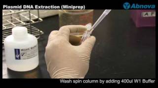 Plasmid DNA Extraction Miniprep [upl. by Anohs]