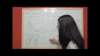 QUIMICA REDOX T42 Explicación de la pila Daniell Zinc metálico y CuII [upl. by Yramliw]