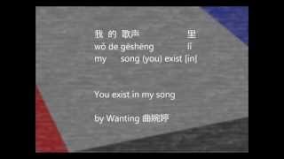 Lyrics 我的歌声里You Exist In My Songby 曲婉婷PinyinEng [upl. by Novyert508]