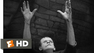 Dracula Wakes Frankenstein Scene 411 Abbott and Costello Meet Frankenstein Movie 1948  HD [upl. by Annayoj]