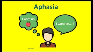 Aphasia Types of aphasia Classifiication of aphasia Wernickes  Brocas aphasia Global aphasia [upl. by Anelrad736]