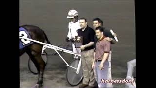 2004 Meadowlands ENFLAMMATORY Brian Sears NJSS 3YO CampG Trot [upl. by Nereil]