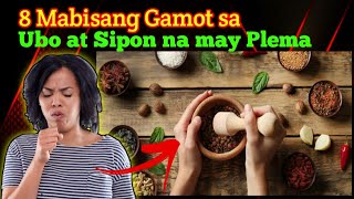 8 MABISANG HALAMANG GAMOT SA UBO AT SIPON NA MAY PLEMA [upl. by Limann]