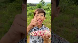 Survival Skills Simple but very Useful Corn 🌽 bushcraft camping food useful survival shorts [upl. by Sonni]