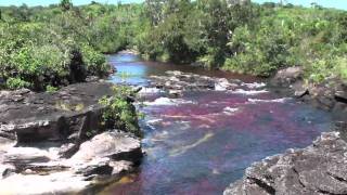 Caño Cristales ⎯ El río de los cinco colores [upl. by Calista201]