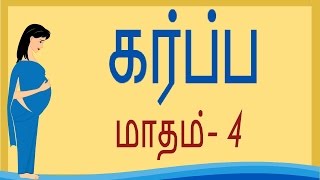 Pregnancy  Tamil  Month 4  கர்ப்பம் மாதம் 4 [upl. by Llabmik]