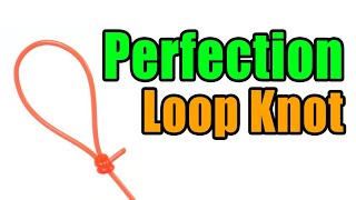 Perfection Loop Knot  Strong Easy Leader To Line Loop Knot  Best Fishing Knots [upl. by Sabina544]