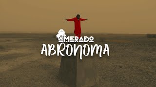 Amerado  Abronoma Official Video [upl. by Eirrok]