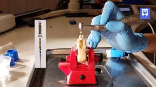 Endodontic treatment of the single rooted tooth Part 4 Shaping and finishing [upl. by Also]