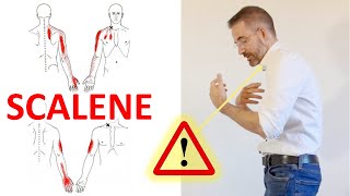 Stretch Your Neck Scalenes Muscles  Scalene Muscle Release [upl. by Lenoel951]