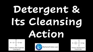 Detergent and its Cleansing Action  Consumers and Industrial Chemistry [upl. by Weed837]