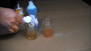 The Worlds Best Fruit Fly Trap Ever [upl. by Dryfoos812]