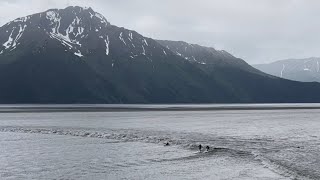 The Bore Tide at Turnagain Arm 752023 [upl. by Ordnagela]