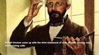 Cell Theory rudolf Virchow [upl. by Redleh]