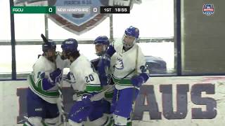 2018 ACHA Mens D2 National Championships Semifinals Game 26 FGCU C vs NEW HAMPSHIRE A [upl. by Roeser315]