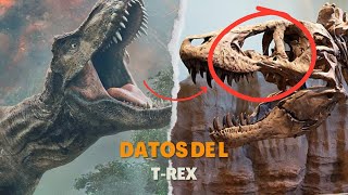 🦖 Curiosidades del TRex El Rey de los Dinosaurios 🦖 [upl. by Thetos147]