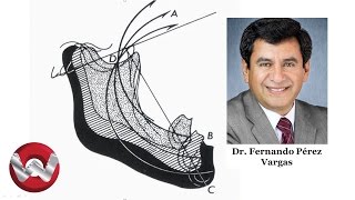 Dirección del crecimiento mandibular [upl. by Evita]