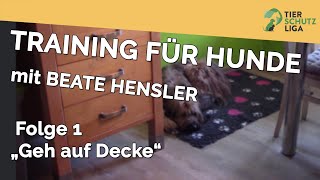 Tierschutzliga  Hundeschule Beate Hensler Übung 1 [upl. by Suoivatnod]