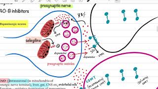 Pharmacodynamics series  lecture5 [upl. by William]