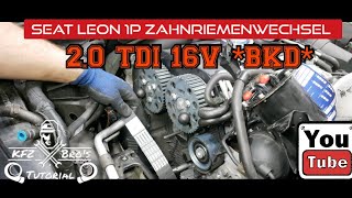 Seat Leon 1P 20 TDI BKD Zahnriemenwechsel  Anleitung  Drehmomente  Timing Belt [upl. by Adnwahsar]