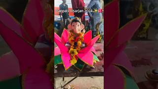 Ganpati Visarjan 2024 ✨️🌺 shorts youtubeshorts ganpativisarjan ganeshchaturthi [upl. by Eimareg]