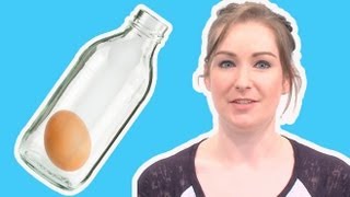 How to get an egg inside a bottle  Live Experiments Ep 28  Head Squeeze [upl. by Yelsel]