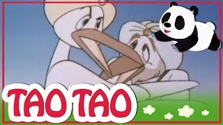 Tao Tao  episodi 51  Kalif Storch [upl. by Eirojram369]